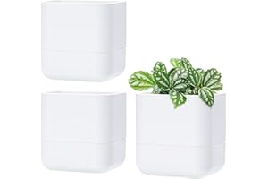 Phoenix Vine 6.5-Inch Wall Mounted Self-Watering Planter Pot for Indoor Houseplants and Herbs | Modern Hanging Planter for Window Sills, Bathroom Walls, Home & Office Décor, White, Set of 3, 01-WP-W-3