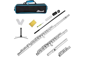 Aisiweier C Flutes Closed Hole C Flute Musical Instrument with Joint Grease,Cleaning Rod, Carrying Case, Stand, Gloves and Tu