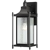 Savoy House 5-3451-BK Dunnmore Modern Farmhouse Clear Seeded Glass Outdoor Wall Lantern, 1-Light 60 Watt, 16" H x 7" W, Black