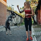 Fida Slip Lead for Dogs 1.8m One-Size-Fits-All Reflective Training Leash view 7
