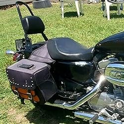 ECOTRIC Detachable Sissy Bar with Backrest