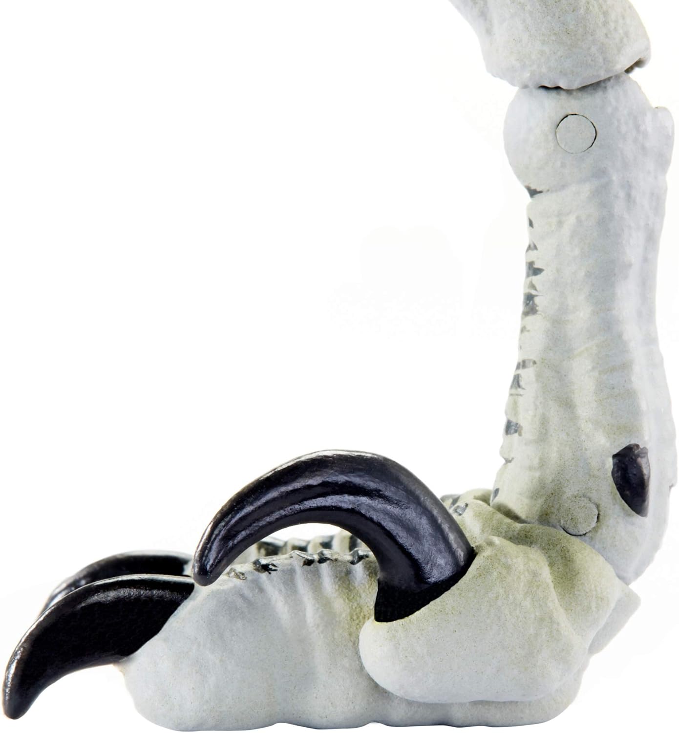 amber collection velociraptor charlie