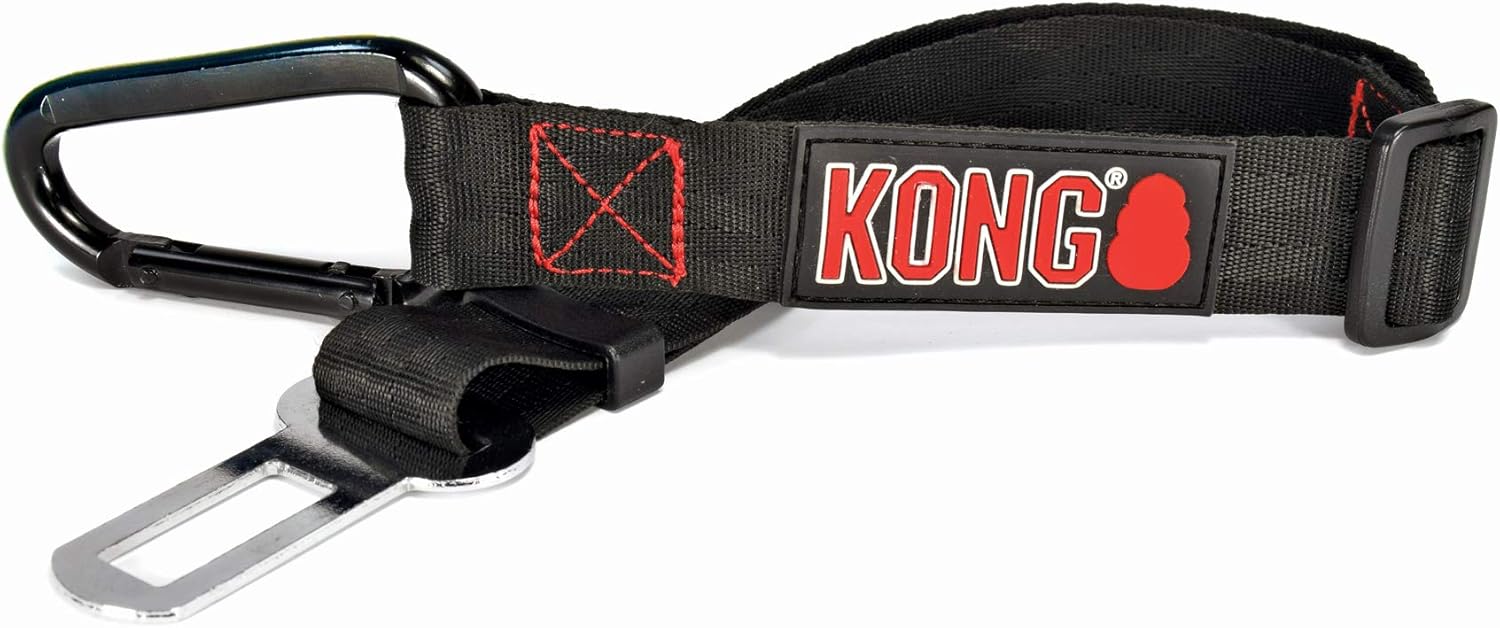 long dog walks near me