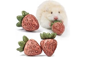 TEEWY 4PCS Hamster Chew Toys, Guinea Pig Chew Toys for Teeth with Natural Vegetables and Timothy Grass, Chinchilla Toys,Dental Care for Rats/Guinea Pigs/Hamsters and Gerbil, Strawberry-Shape