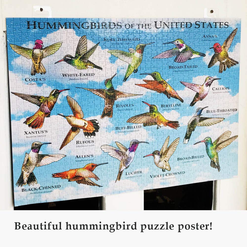1000 Piece Puzzle Birds for Adults Hummingbirds Jigsaw Puzzle for Bird Lovers Puzzle Lovers United States USA American Hummingbird Collage Puzzle Poster