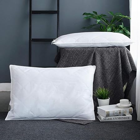 Lilysilk Washable Silk Fitted Pillow With Cotton Cover Non