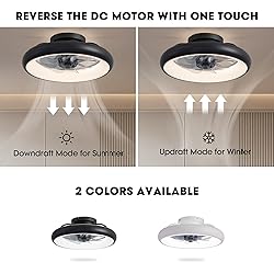 LUDOMIDE Ceiling Fan with Lights, 15" Flush
