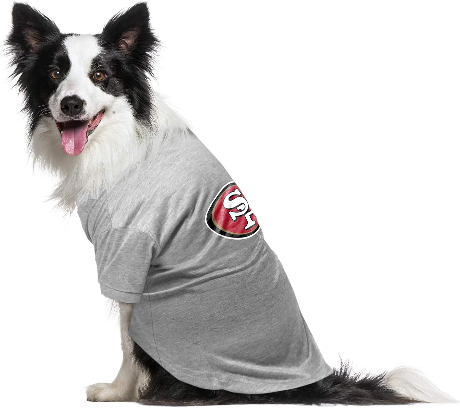 49ers pet gear
