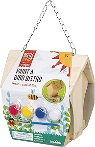 Toysmith Beetle & Bee Paint A Bird Bistro
