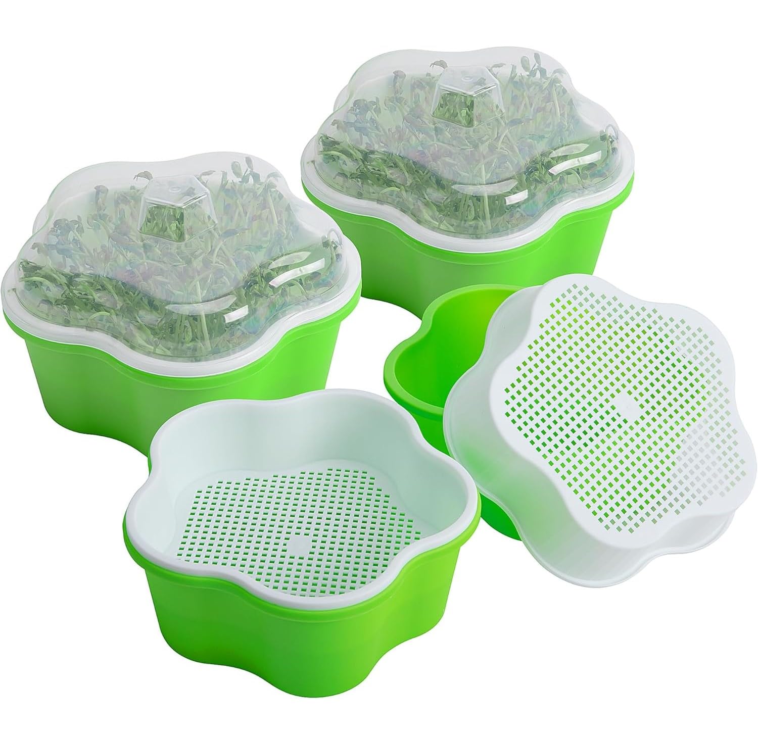 LATERN 4Pcs Seed Sprouting Trays with Lid, 16CM Seed Germination Tray BPA Free Healthy Hydroponic Propagator Soil-Free Sprouting Growing Tray for Growing Mung Beans, Alfalfa, Wheat Grass