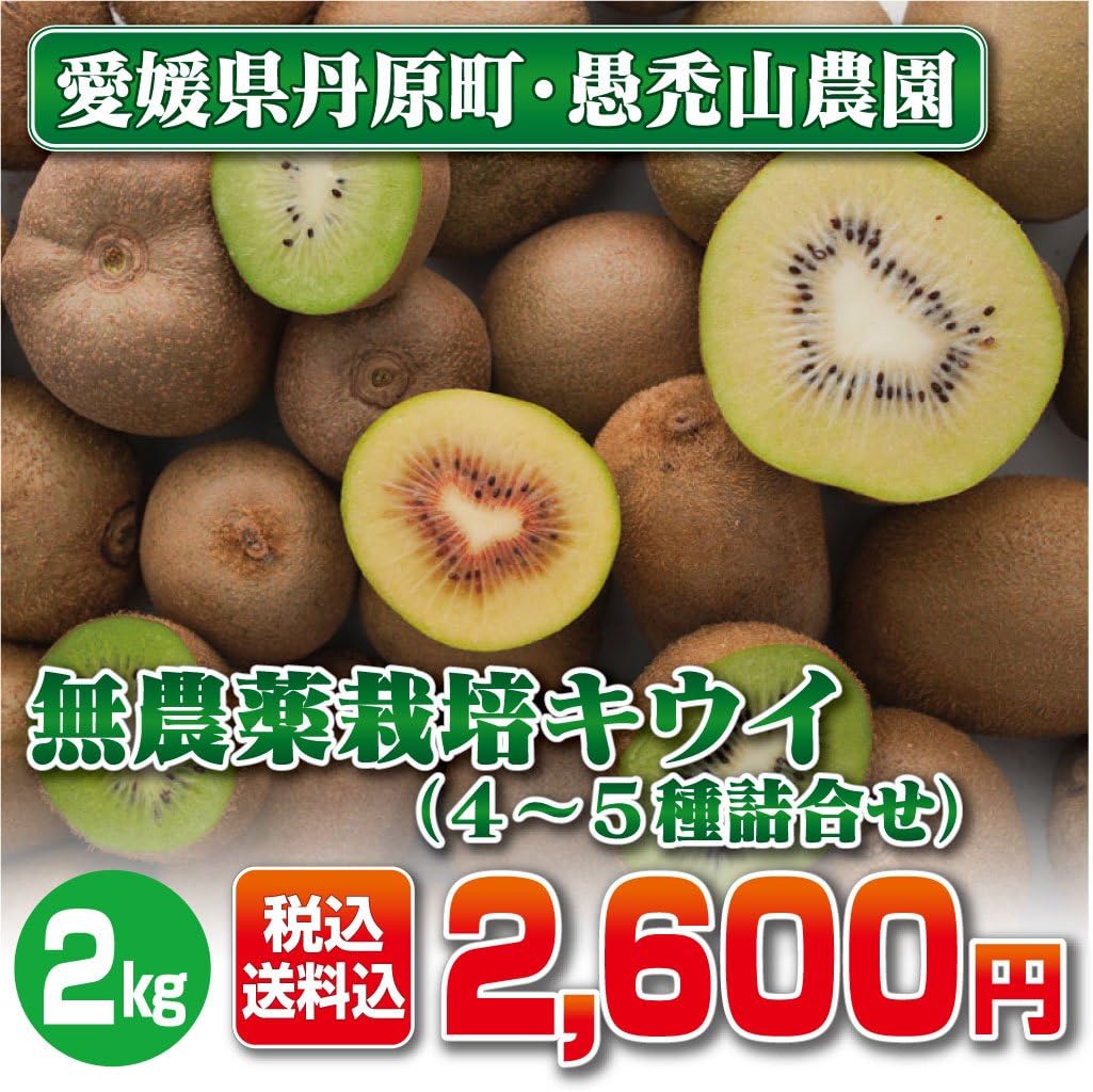 Amazon キウイ4 5種詰合せ 2kg 無農薬栽培 愛媛県西条市産 新鮮産直 愛媛のうた 新鮮産直 愛媛のうた 果物 通販