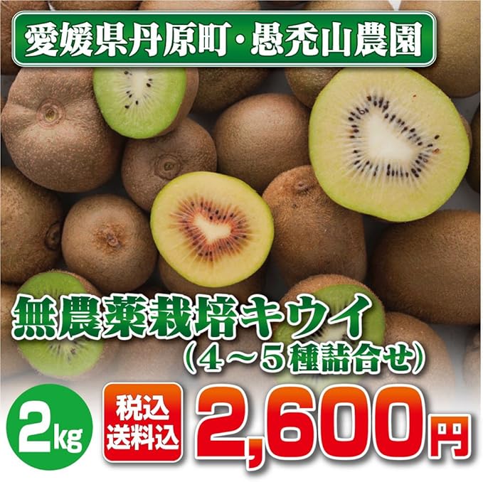 Amazon キウイ4 5種詰合せ 2kg 無農薬栽培 愛媛県西条市産 新鮮産直 愛媛のうた 新鮮産直 愛媛のうた 果物 通販