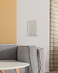 TREEWELL 2-Pack Blank Outlet Cover Wall