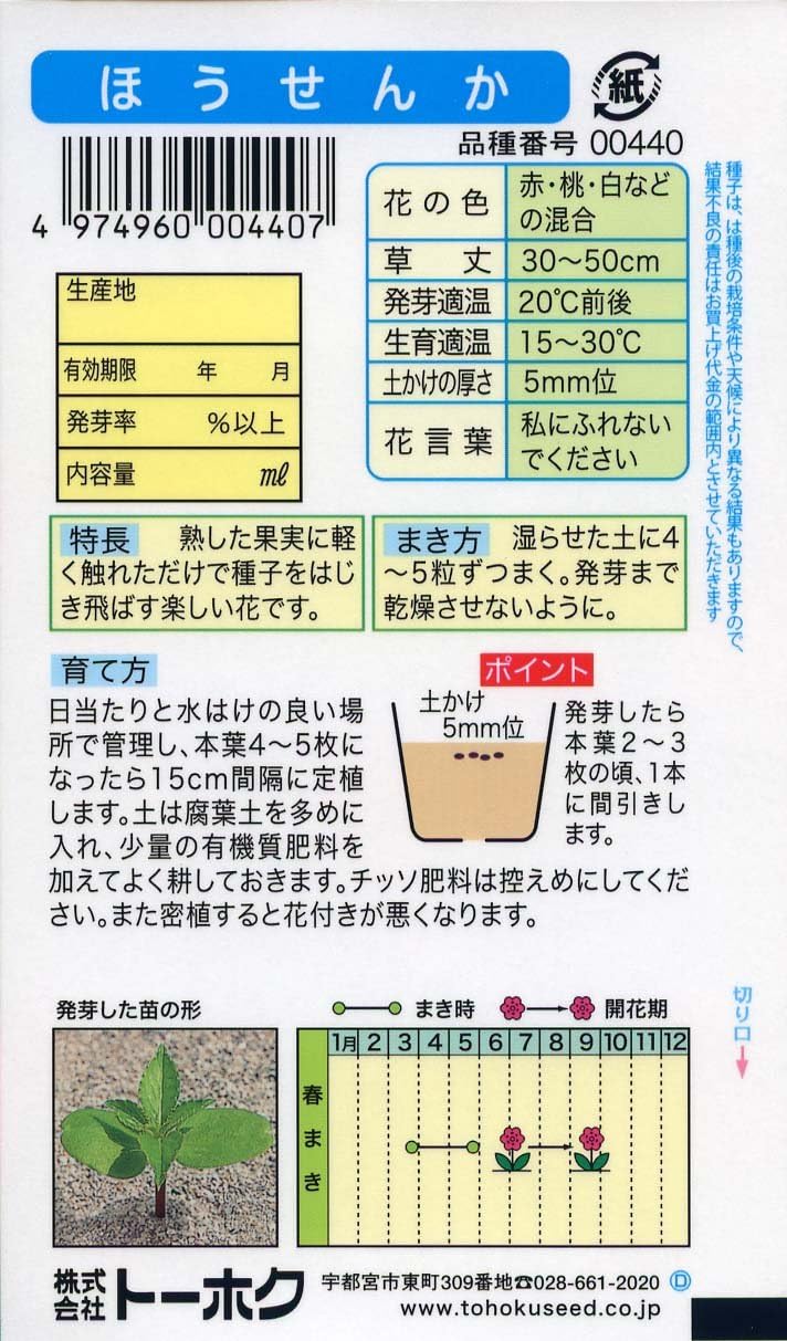 Amazon 株式会社トーホク ホウセンカ 花