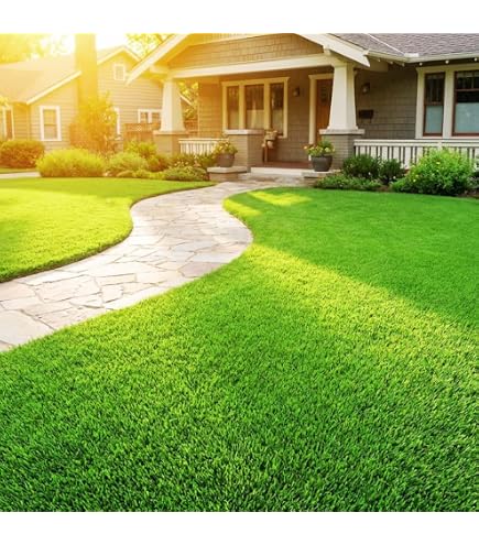 Steps to Improve Your Soil Quality Naturally thumbnail