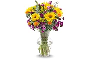Stargazer Barn - Happiness In Bloom Bouquet (Includes Glass Vase) - Fresh Flowers for Delivery - Gift for Anniversary, Birthday, Congratulations, Get Well, Graduation, Sympathy
