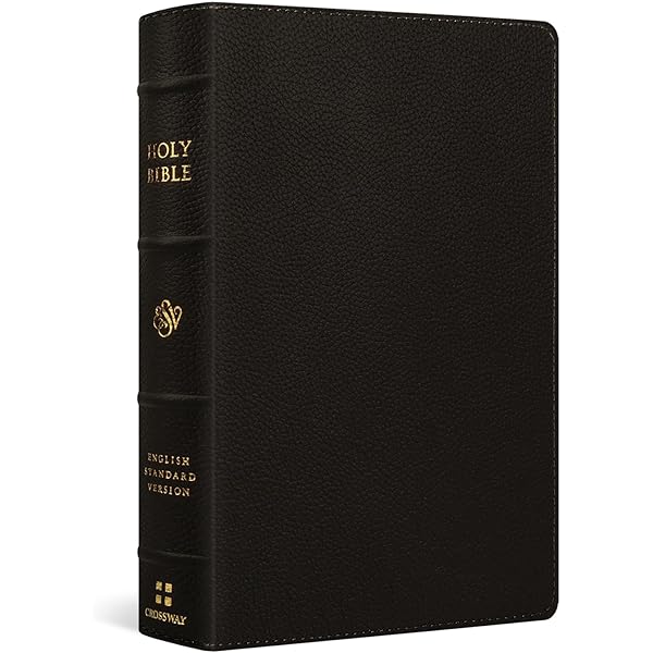 耐え抜くもの、母聖樹　【英語版】　foil 3枚セット ESV Diadem Reference Edition, Black Calf Split Leather, Red-letter