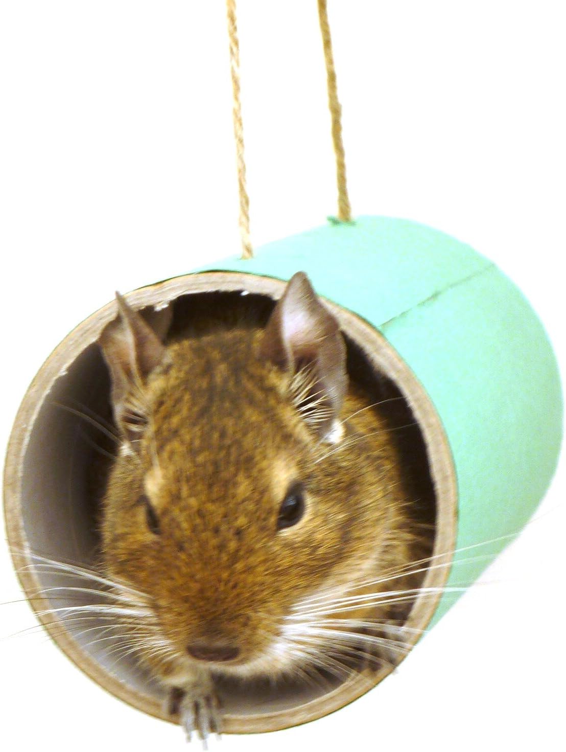 Totally Degu Chewchewbs 4 pack (Green)