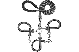 NEOGULY 3 Dog Leash No Tangle, Heavy Duty Multiple Dog Lead Shock Absorbing Bungee with Padded Handle Removable Pet Traction Walking Rope for Medium Large Dogs (25-180 Lbs)