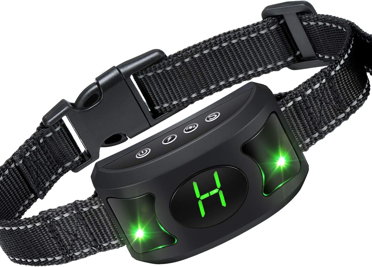 akc english springer spaniel puppies