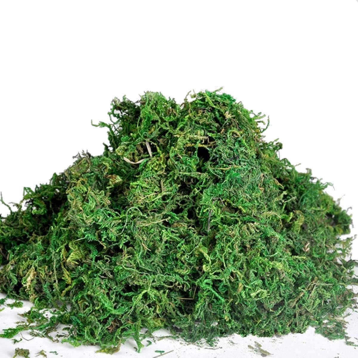 Best Artificial Reindeer Moss For Lining Plant Flower Garland Christmas Decor Trees (500g)