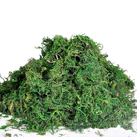 Best Artificial 50g Reindeer Moss For Lining Plant Flower Garland