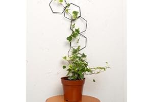 GOOOXIM 17PCSMetal Hanging Trellis for Pothos Plant Climbing Support | Vine Wall Lattice for Indoor and Outdoor Garden | House Accessories for Climbing Plants | Small Metal Trellis for Lattice Support