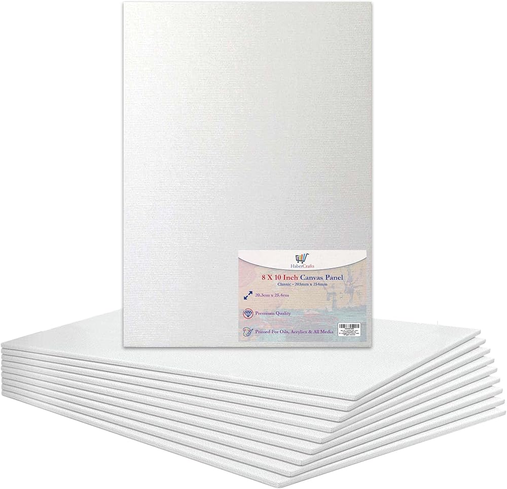Habercrafts 8 x 10 Inch Canvas Panels, 100% Cotton, Triple Gesso Primed, 10