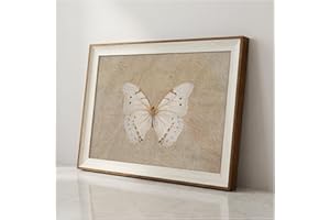 VIYYIEA Framed Wall Art XKSY-01 HK1081 16" L x 12" W