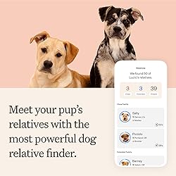 Wisdom Panel Premium Dog DNA Kit: Most