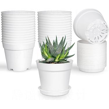 Amazon Best Sellers: Best Garden Pots