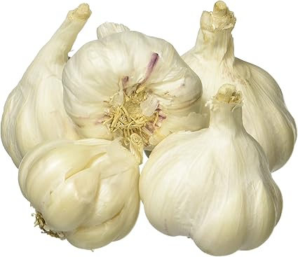 Fresh Garlic, 100g Pack