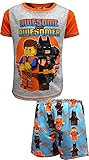 SGI Apparel Boys' Lego Movie 2 Emmet and Batman