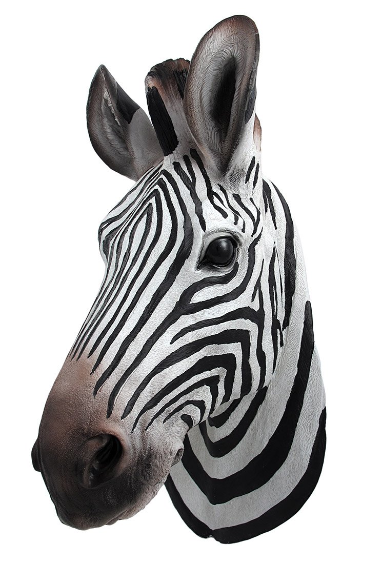 Things2Die4 Botswana Zebra Head Wall Mount Statue Bust Buy Online in