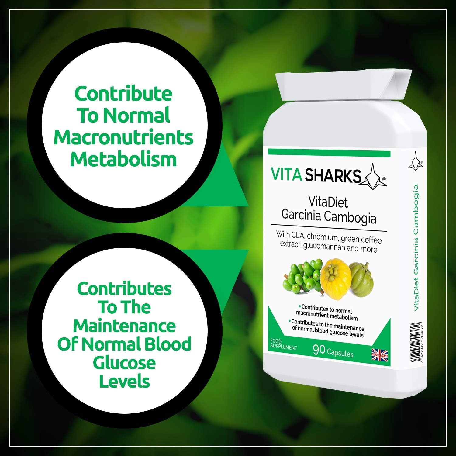 VitaDiet: Garcinia Cambogia & Green Coffee Bean - Weight Management Support for Energy Appetite Control & Metabolism Boost - Image 4
