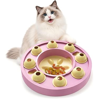 Amazon Best Sellers: Best Cat Slow Feeders