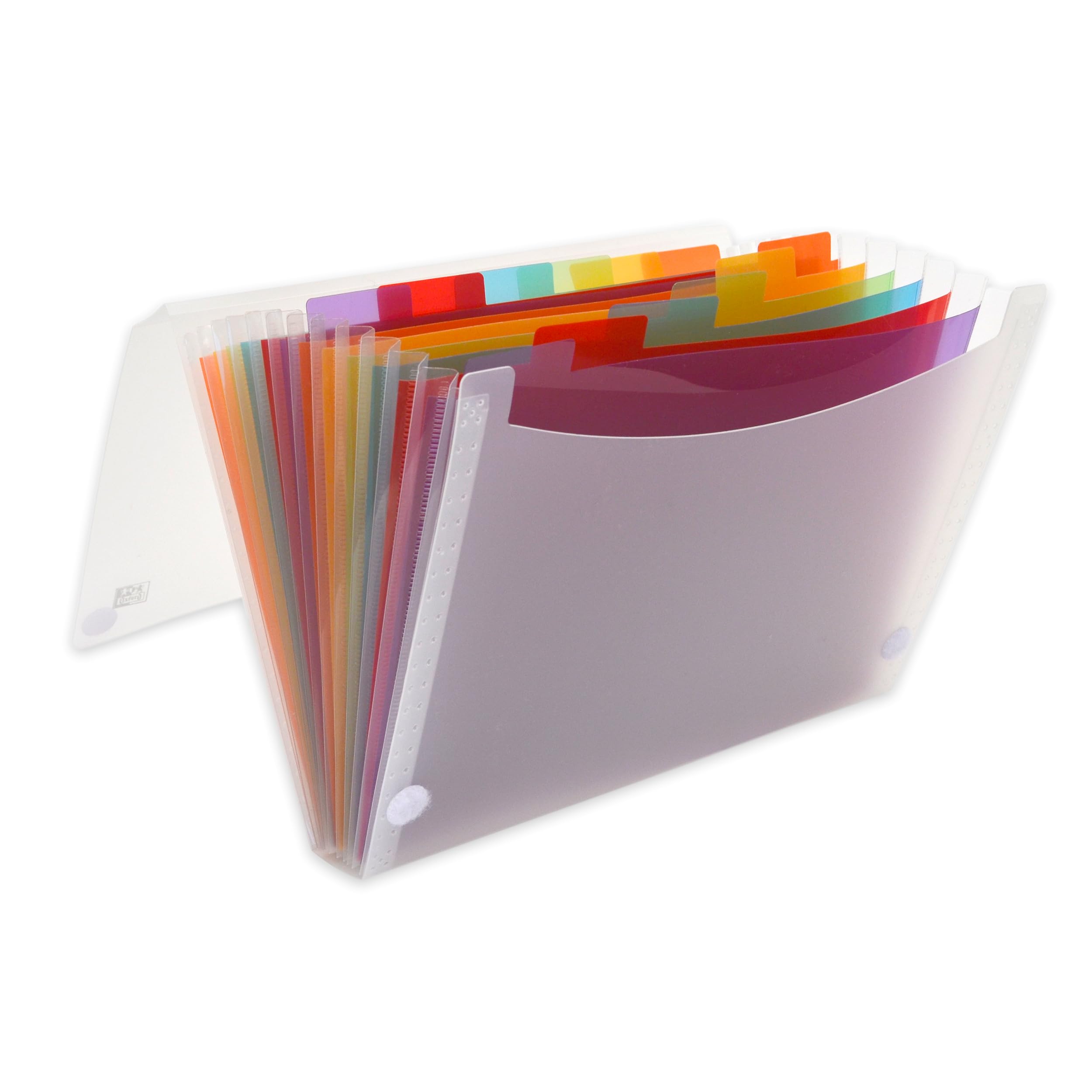Oxford A4+ Document Folder, 12 Compartments, Expanding File, Colour Coded Tabs