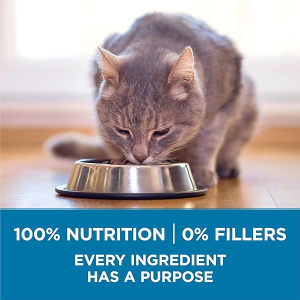 PURINA ONE HIGH PROTEIN, NATURAL SENIOR DRY CAT FOOD, INDOOR ADVANTAGE SENIOR+ – 7 LB. BAG