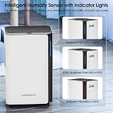 Hangsun 20L Dehumidifier Home Clothes Drying Damp Digital Display Timer 30m² view 3