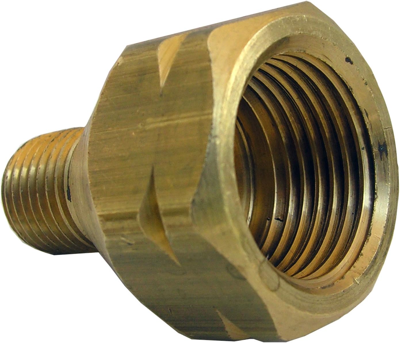 LASCO 175341 Female POL by 1/4Inch Male Pipe Thread Brass Adapter