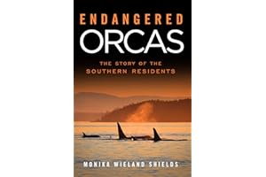 Endangered Orcas: The Story of the Southern Residents