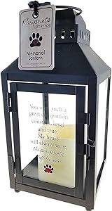 Pawprints Left by You Memorial Gifts Pawprint Left Metal Lantern, Black