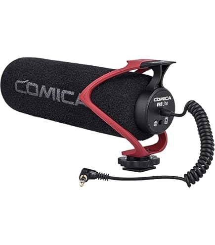 Amazon.com : Canon SM-V1 5.1 Channel Surround Microphone for S and