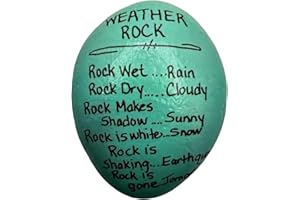 HANDMADE "Weather Rock" Decorative hand painted rocks, garden stones, and bricks for indoor and outdoor use (3"-5") Medium (5"-8") Large (Medium)