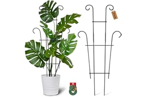 Xeeol Plant Trellis for Potted Plants 2p, Larger 23in Garden Trellis for Climbing Plants Indoor Outdoor, Rustproof House Plant Support Stakes for Pothos Hoya Ivy Flower