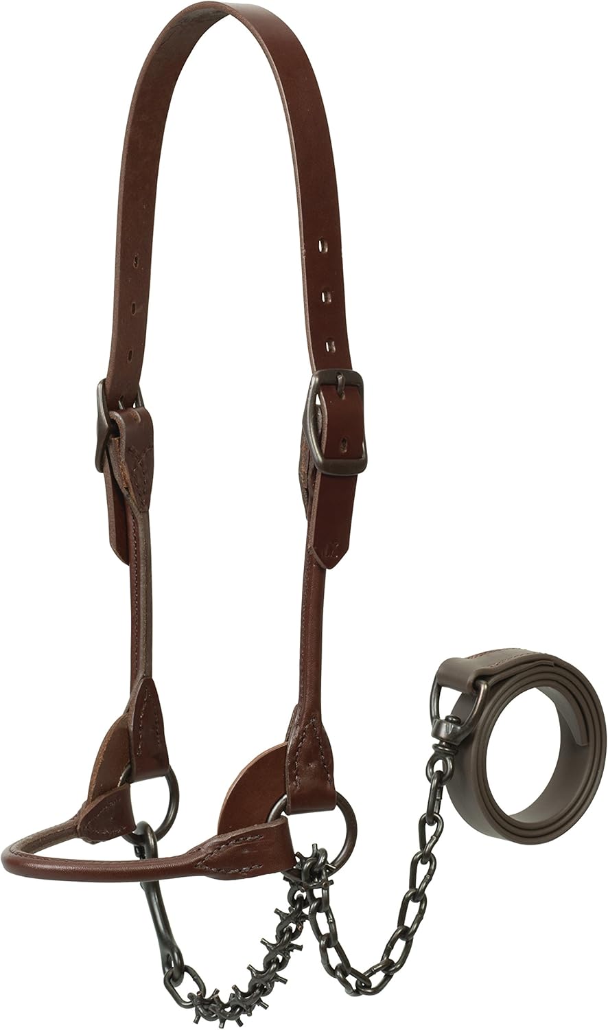 Weaver Leather Livestock Bombshell Show Halter with Pronged Lead Chain Brown Sports & Outdoors