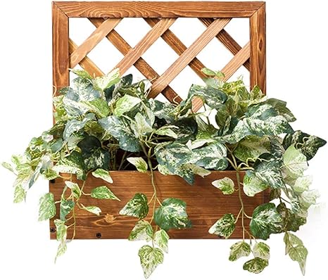 Maceta pared exterior | ¡Descubre las macetas más originales del mercado!