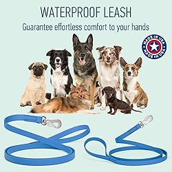 Randstark Biothane Waterproof Durable Dog Leash