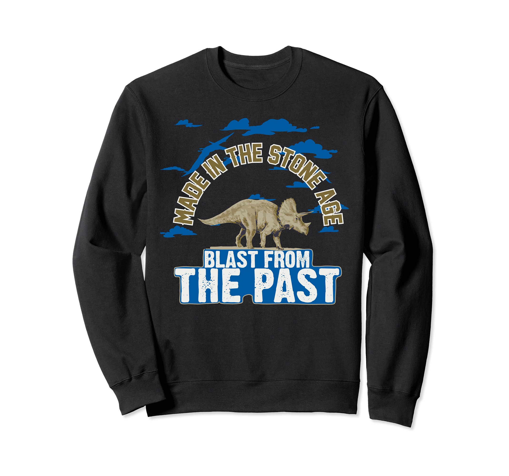 Dino Dinosaur From The Past T-Rex Extinct Animals Stone Age Sweatshirt