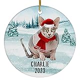 Santa Hat and Scarf Welcome Winter Tabby Sphynx Cat